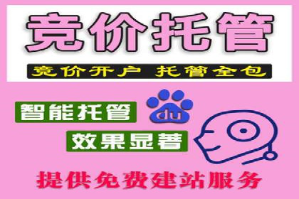 行业专家眼中的SEM竞价培训：成功要素与挑战