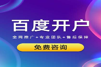 某行业巨头背后的SEM代运营服务公司